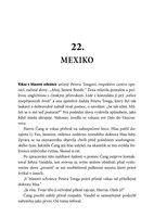 0047697410_A101P0N12697_kyberspion-217.j