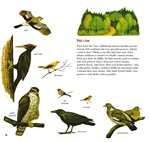 0051873549_priroda-od-jara-do-zimy-a101f