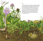 0051873549_priroda-od-jara-do-zimy-a101f