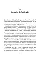 0050955135_slzy-od-smichu-a101f0f19318-l