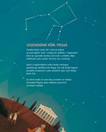 0046993998_A101P0N12580_Kone_divoci-018.