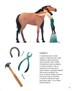 0046993998_A101P0N12580_Kone_divoci-043.