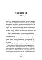 0047387608_kdv0615_Stribrne-perute-109.j