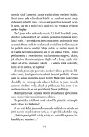 0051298801_drak-s-cokoladovym-srdcem-a10