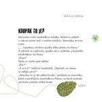 0050955380_medvidek-v-lese-a101f0f19320-