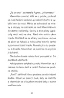 0050640750_max-kocici-detektiv-zahadny-p