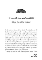 0050143935_ja-a-anastazie-sedmikrasky-pr