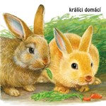 0057646474_mladatka-lockerova-leporelo-a