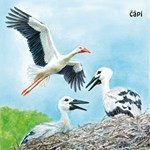 0057646474_mladatka-lockerova-leporelo-a