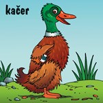 0057646475_zviratka-na-dvorku-leporelo-a