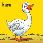 0057646475_zviratka-na-dvorku-leporelo-a