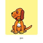 0057425541_nase-zviratka-leporelo-a101f0