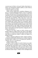 0048840226_pisen-zbloudilych-dusi-A101V0