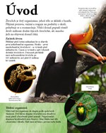 0053949255_moderni-encyklopedie-pro-deti