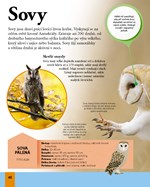 0053949255_moderni-encyklopedie-pro-deti