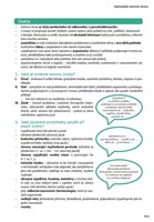 0042964471_novy-cesky-jazyk-v-kostce-pro