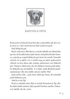 0052038221_zakon-smecky-5-soumrak-vyhnan