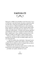 0047387610_kdv0614-Stribrne_perute_rebel