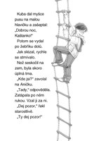 0054634240_dobrodruzstvi-v-zemi-nindzu-a