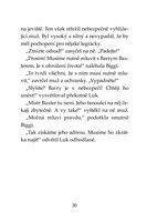 0049973794_klub-tygru-desiva-helikoptera