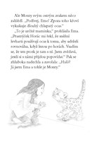 0053949085_ema-a-jeji-kouzelna-zoo-6-zar