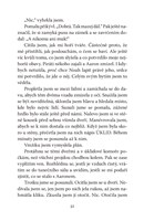 0055262917_emily-vichrna-a-piratsky-prin