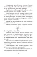 0055262917_emily-vichrna-a-piratsky-prin