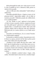 0055262917_emily-vichrna-a-piratsky-prin