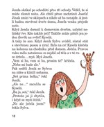 0059006334_sisa-kysela-a-usmudlany-rytir