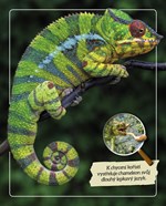 0054405482_neobycejna-zvirata-mistri-uni