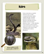 0054405481_neobycejna-zvirata-mistri-lov