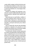0054204687_strana_126.jpg