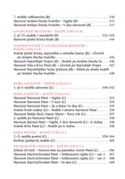 0059546383_primluvy-A101V0F20760-list-41