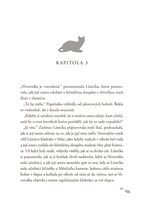 0051306669_kocici-valecnici-nove-proroct