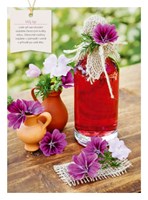 0058624810_khp0497-Domaci-vyroba-likeru-