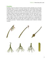 0058598613_velikonoce-historie-zvyky-tra