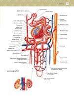 0055328055_khp0462-Cvicebnice-pro-studen