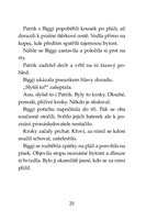 0049973796_klub-tygru-hrozive-paraty-a10