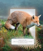 0058920394_001-024_FFP_NTAS_Interior_Alb