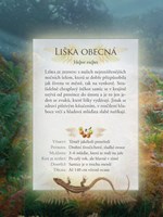 0058920394_001-024_FFP_NTAS_Interior_Alb