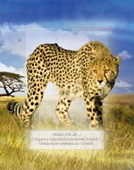 0063413302_Safari_10b.jpg