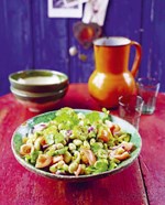 0057725562_A101C0N13520-Moderni-mexicka-