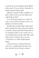 0059539899_npssk-poraneny-sokol-a101f0f2