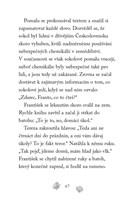 0059539899_npssk-poraneny-sokol-a101f0f2