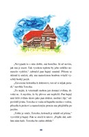 0066510050_Strana_040.jpg