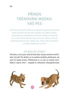 0058721574_Inteligentni hry pro vaseho p