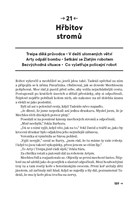 0058574704_A10110F21943_Barbora_a_Zlaty_