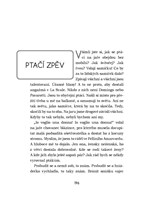 0064034532_romanticke_drevo_strany_196.j