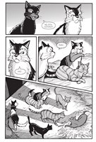 0060299719_A10110F22636-Kocici_valecnici