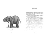 0064778285_jediny-ivan-svojho-druhu-B102